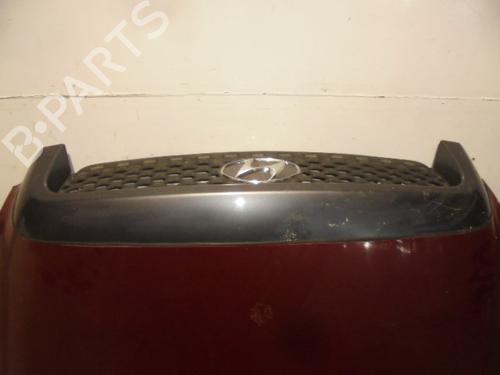 Hood HYUNDAI SANTA FÉ I (SM) 2.4 16V | BP10637565C1 