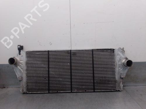 Intercooler RENAULT LAGUNA II (BG0/1_) 1.9 dCi (BG08, BG0G) (120 hp) 28290110