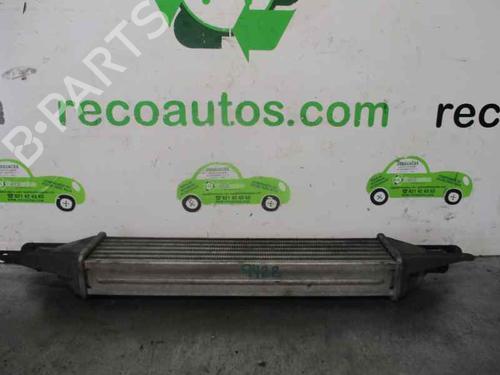 Intercooler FIAT GRANDE PUNTO (199_) 1.3 D Multijet | BP4399057M30 