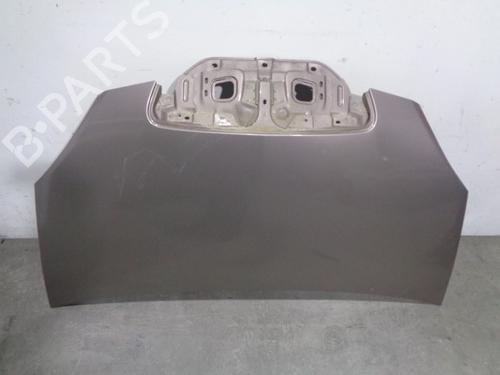 Used Hood LANCIA MUSA (350_) 1.3 D Multijet (350.AXG11, 350.AXG1A) (90 hp) 12190911