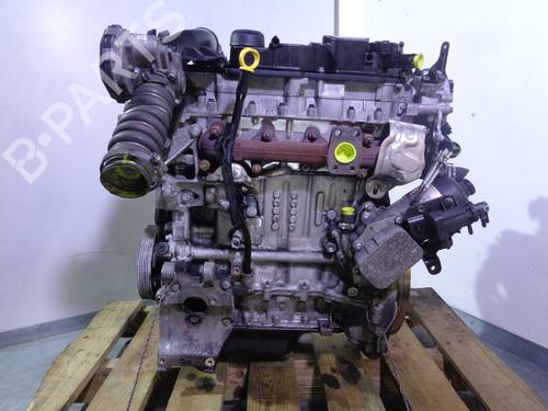 Engine FORD FIESTA VI (CB1, CCN)  | BP15801683M1 