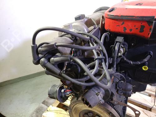 Engine SEAT CORDOBA (6K1, 6K2) 1.4 i | BP27548536M1 
