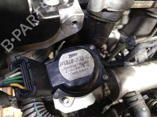 Engine FORD C-MAX (DM2) 1.6 TDCi | BP31949731M1