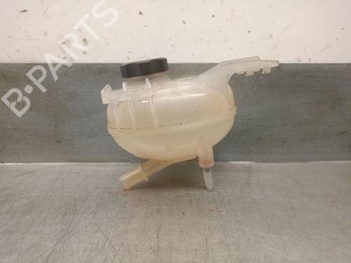 Expansion tank FIAT TIPO Saloon (356_, 357_) 1.4 (356SXA1B) | BP29481346C120 