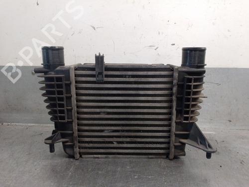 Intercooler RENAULT CLIO III (BR0/1, CR0/1) 1.5 dCi (BR17, CR17) | BP32343332M30