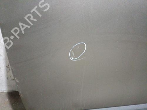 Left front door DACIA LODGY (JS_) 1.5 dCi | BP31181161C2