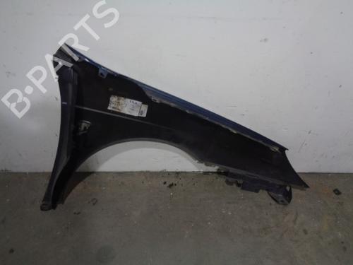 Left front fenders CITROËN C5 II (RC_) 2.0 HDi (RCRHRH) | BP12057249C41 