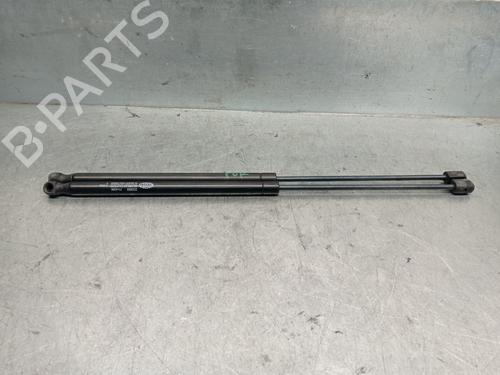 Tailgate lift support CITROËN C4 Coupe (LA_) 2.0 HDi | BP20260920C138 