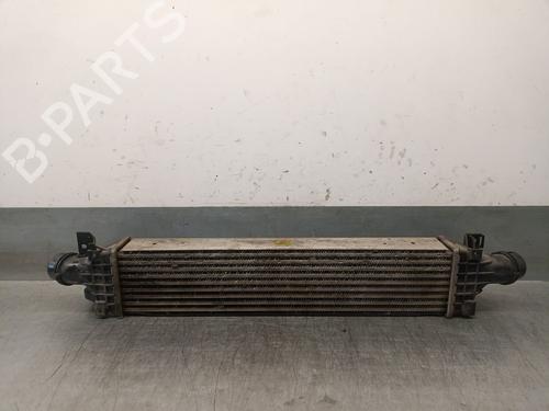 Intercooler CHEVROLET AVEO Hatchback (T300) 1.3 D | BP29764835M30