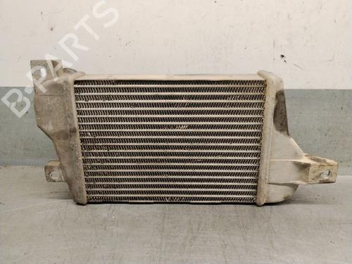 Intercooler TATA SAFARI (42_FD) 3.0 D | BP40532217M30 - Image 3