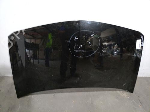 Used Hood RENAULT MEGANE II (BM0/1_, CM0/1_) 1.9 dCi (131 hp) 20310366