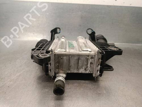 Intercooler RENAULT CAPTUR II (HF_) Blue dCi 95 (HFAF) | BP31969157M30