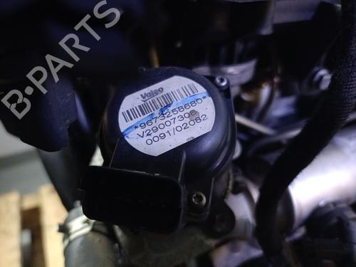 Engine FORD FIESTA VI (CB1, CCN) 1.4 TDCi | BP29421719M1 