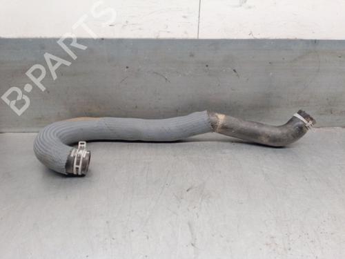 Used Pipe RENAULT AUSTRAL TCe 130 (131 hp) 23259817