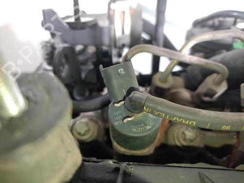 Engine PEUGEOT 406 Break (8E/F)  | BP31145856M1 