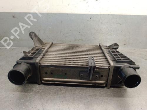 Intercooler RENAULT CLIO III (BR0/1, CR0/1) 1.5 dCi (BR17, CR17) | BP32343332M30