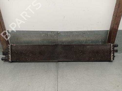 Water radiator RENAULT MASTER III Van (FV) 2.3 dCi 130 FWD (FV0M, FV0Y, FV0J, FV02, FV03) | BP30772811M31