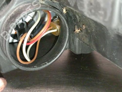 Right headlight VW GOLF V (1K1) 2.0 TDI 16V | BP30803726C29