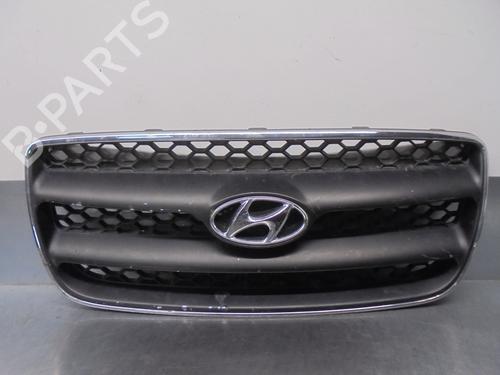 Used Grille HYUNDAI SANTA FÉ II (CM) 2.2 CRDi GLS (150 hp) 16152942