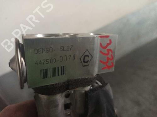 Air conditioning evaporator TOYOTA RAV 4 III (_A3_)  | BP11668816M109 