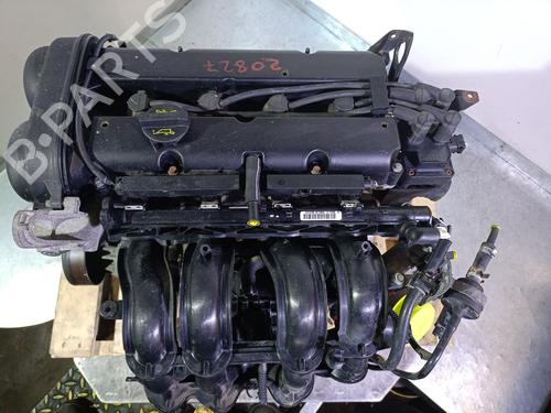 Engine FORD FIESTA VI (CB1, CCN) 1.25 | BP19067362M1 