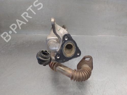 Egr RENAULT KANGOO Express (FW0/1_) 1.5 dCi 75 (FW07, FW10, FW04) | BP29632253M69 