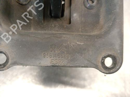 Hinge/Door check strap CITROËN BERLINGO / BERLINGO FIRST MPV (MF_, GJK_, GFK_) 1.6 HDI 75 (MF9HW, GJ9HWC, GF9HWC, GN9HWC) | BP28002692C146 