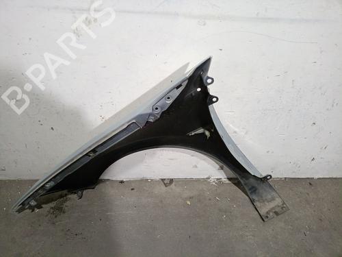 Right front fenders RENAULT MEGANE II (BM0/1_, CM0/1_) 1.9 dCi (BM0G, CM0G) | BP29077351C42 