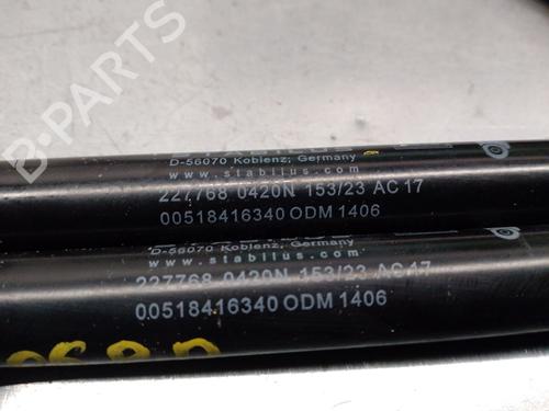 Tailgate lift support FIAT PANDA (312_, 319_) 1.0 Mild Hybrid (312.PYD1B) | BP31941041C138 