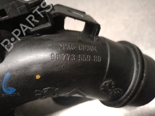 Pipe PEUGEOT 308 II (LB_, LP_, LW_, LH_, L3_) 1.2 THP 130 | BP29446450M125 