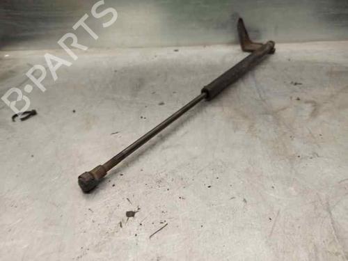 Hood lift support SEAT ALHAMBRA (7V8, 7V9)  | BP20255776C139 