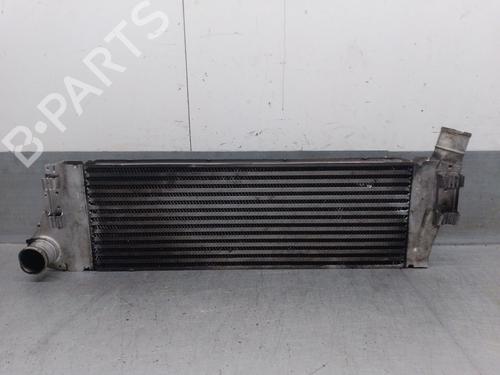 Intercooler RENAULT GRAND SCÉNIC II (JM0/1_) 1.9 dCi (JM0G, JM12, JM1G, JM2C) (120 hp) 28139123