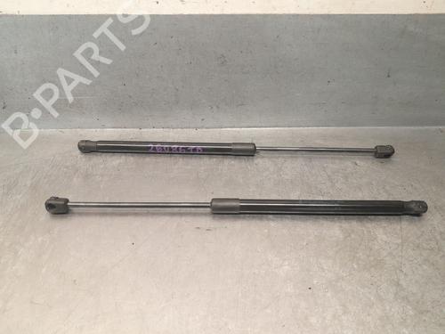 tailgate-lift-support-ford-kuga-ii-dm2-2012-37518931 main image