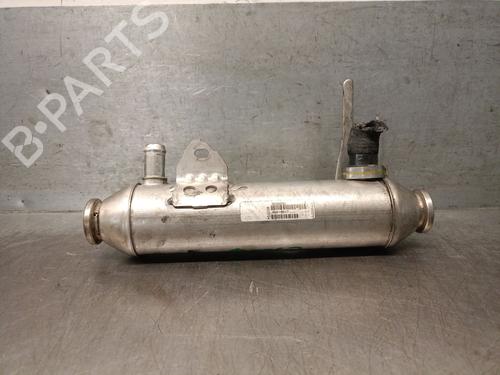 Used Egr FIAT BRAVO II (198_) 1.9 D Multijet (198AXB1A) (120 hp) 29421771