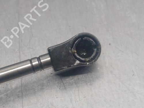Hinge/Door check strap BMW 7 (E65, E66, E67) 730 Ld | BP22728548C146 