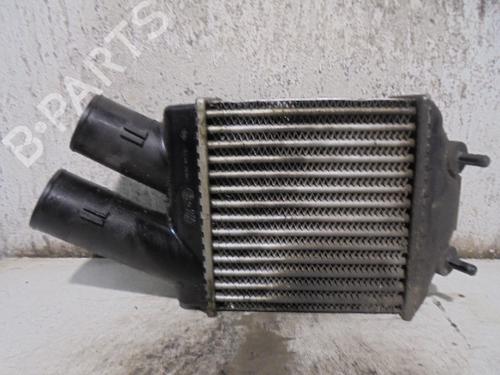 Used Intercooler RENAULT SCÉNIC I MPV (JA0/1_, FA0_) 1.9 dCi RX4 (102 hp) 9652093