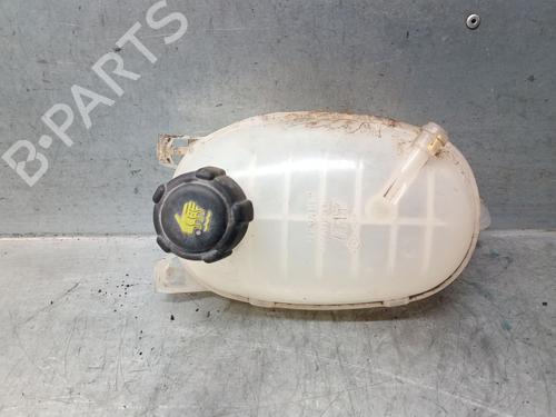 Expansion tank RENAULT EXPRESS Box Body/MPV 1.5 Blue dCi 75 (F6AA) | BP29220628C120