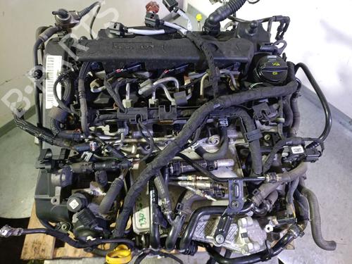 Motor VW CADDY IV Box Body/MPV (SAA, SAH) 2.0 TDI 4motion | BP28112899M1 