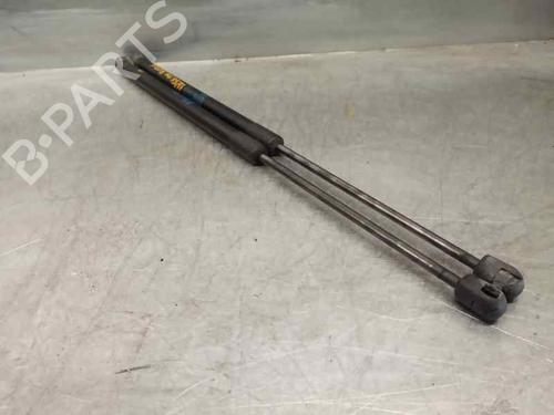 Tailgate lift support AUDI A3 Sportback (8PA)  | BP20255650C138 