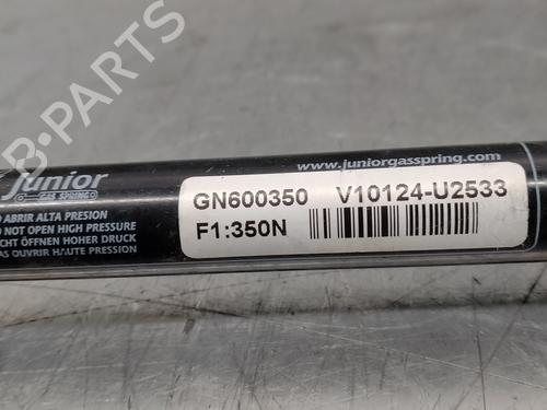 Tailgate lift support PEUGEOT 307 (3A/C) 2.0 HDi 90 | BP18781666C138 