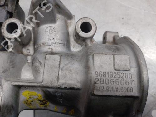 Egr FORD S-MAX (WA6) 2.0 TDCi | BP28178917M69 