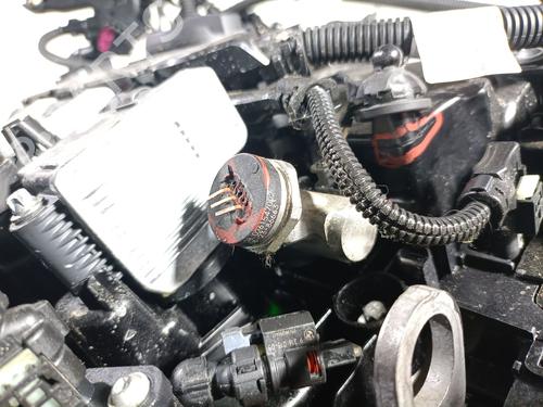 Engine BMW X3 (G01, F97, G08) xDrive 20 d Mild-Hybrid | BP36071416M1 - Image 13