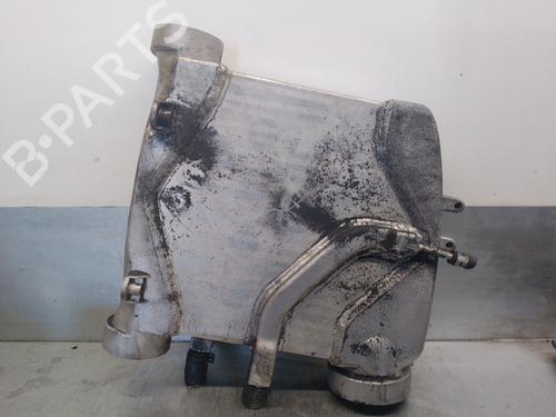 Used Intercooler MERCEDES-BENZ S-CLASS (W220) [1998-2005]  12600091