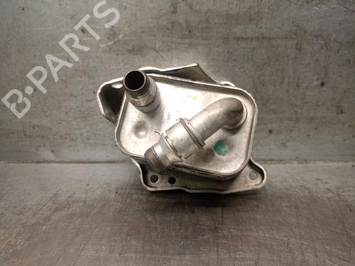 Oil radiator BMW 3 Compact (E46) 316 ti | BP27839838M33 