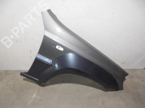 Used Right front fenders HYUNDAI TERRACAN (HP) 2.5 TD (101 hp) 8884633
