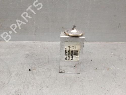 Elektronensonde für DACIA SANDERO III 1.0 TCe 90 (91 hp) 29697072