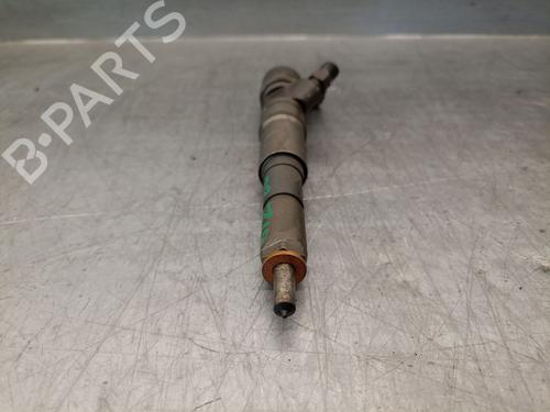 Injector BMW X5 (E53) 3.0 d | BP28480981M100