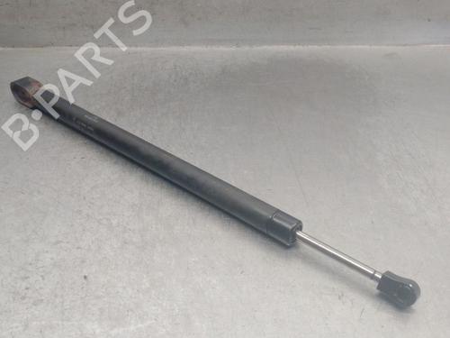 Used Hinge/Door check strap BMW 7 (E65, E66, E67) 730 Ld (231 hp) 22728554