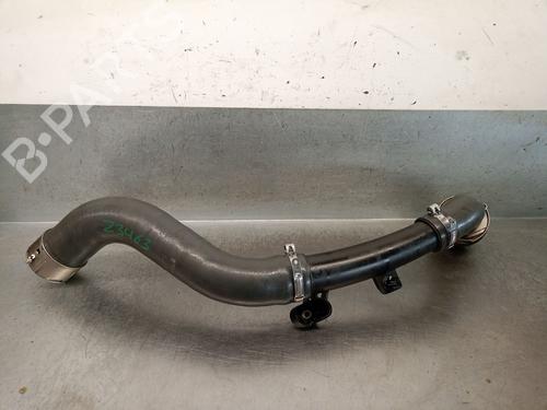 Pipe NISSAN JUKE (F16_) DIG-T 117 | BP28623202M125 - Image 2