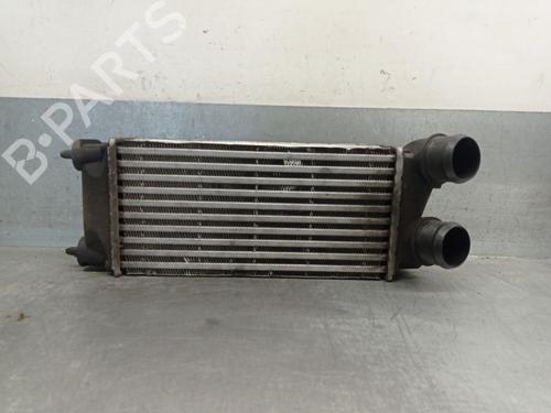 Used Intercooler RENAULT LAGUNA III (BT0/1) 1.5 dCi (BT00, BT0A, BT0T, BT1J) (110 hp) 27834111